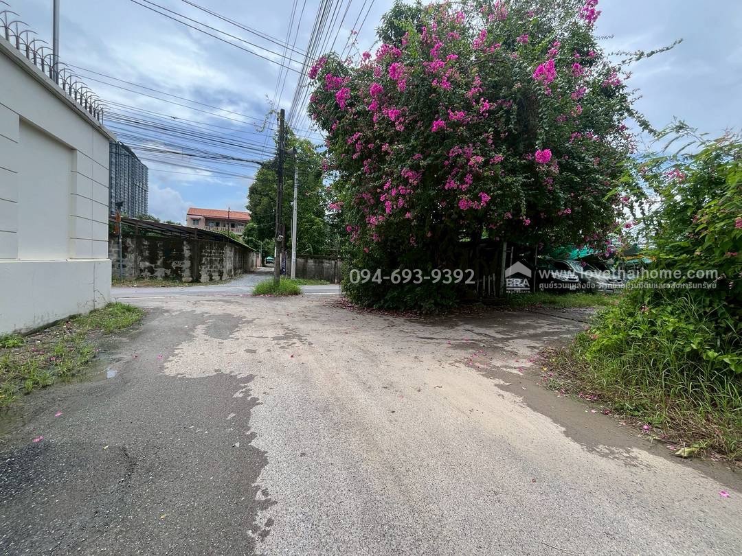 ขายที่ดิน ซอยกรุงเทพ-นนทบุรี43 (ซอยวัดเลียบ) พื้นที่ 287.5 ตรว. หน้ากว้าง 27 เมตร ลึก 43 เมตร ที่ดินถมแล้ว สวย ด่วนๆ