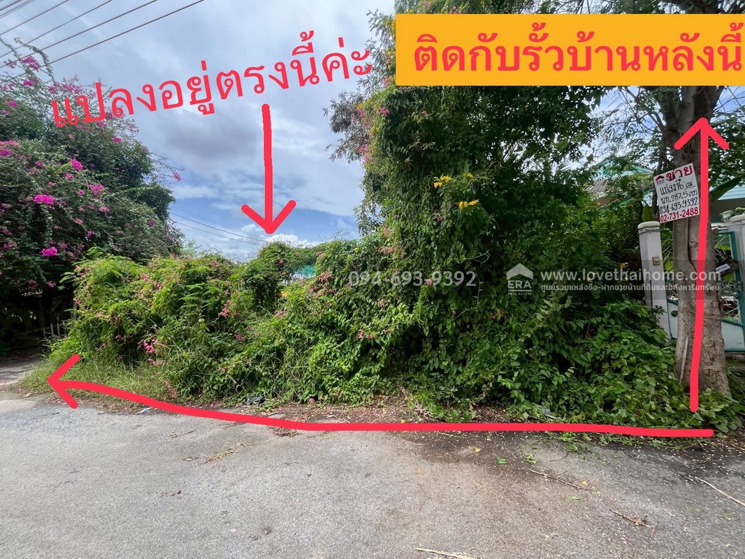 ขายที่ดิน ซอยกรุงเทพ-นนทบุรี43 (ซอยวัดเลียบ) พื้นที่ 287.5 ตรว. หน้ากว้าง 27 เมตร ลึก 43 เมตร ที่ดินถมแล้ว สวย ด่วนๆ