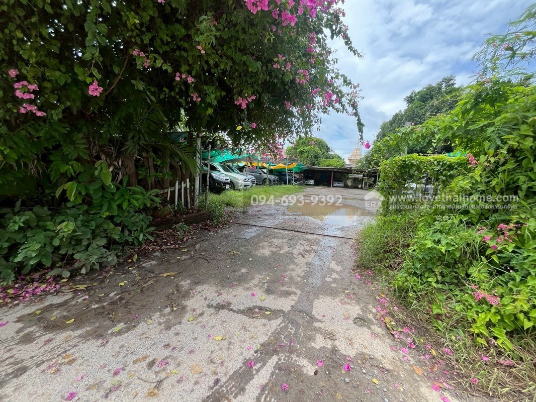 ขายที่ดิน ซอยกรุงเทพ-นนทบุรี43 (ซอยวัดเลียบ) พื้นที่ 287.5 ตรว. หน้ากว้าง 27 เมตร ลึก 43 เมตร ที่ดินถมแล้ว สวย ด่วนๆ