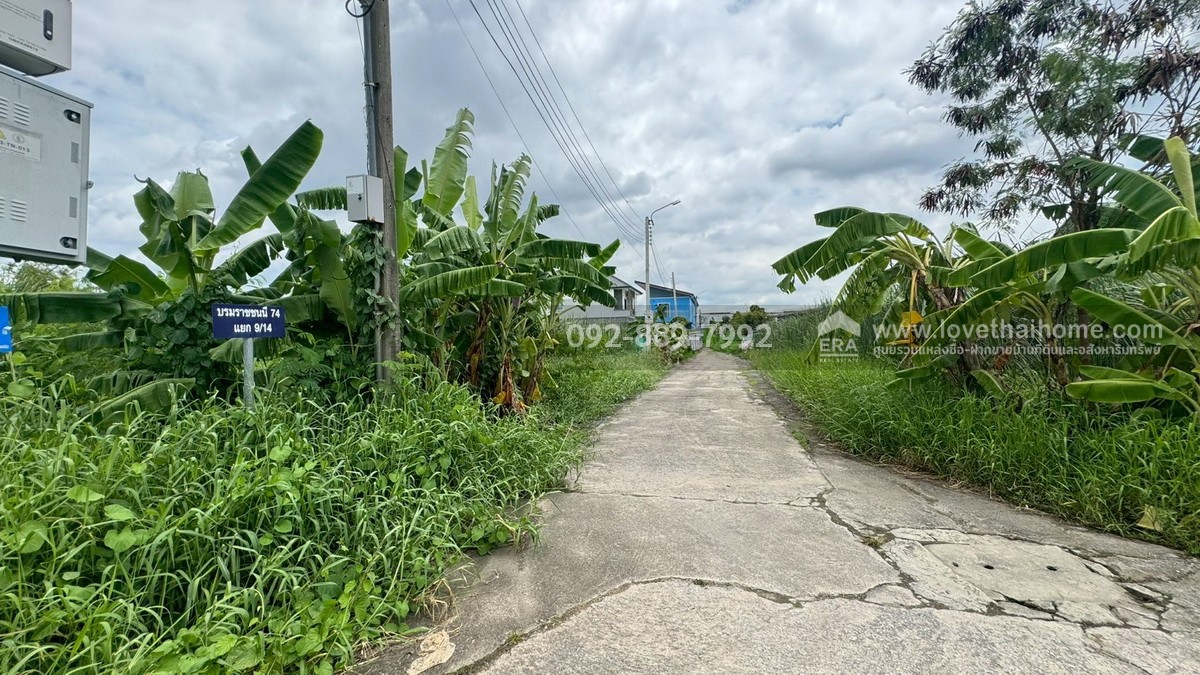ขายที่ดิน ซอยบรมราชชนนี74 แยก9/14 พื้นที่ 50 ตรว. ราคาถูก ใกล้มหาวิทยาลัยมหิดล ศาลายา