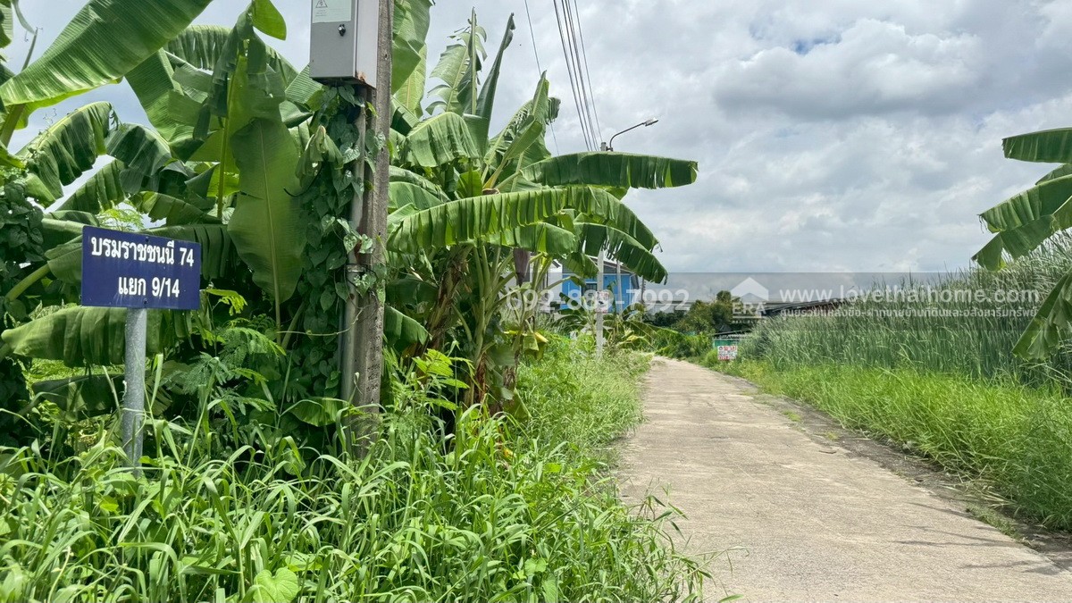 ขายที่ดิน ซอยบรมราชชนนี74 แยก9/14 พื้นที่ 50 ตรว. ราคาถูก ใกล้มหาวิทยาลัยมหิดล ศาลายา