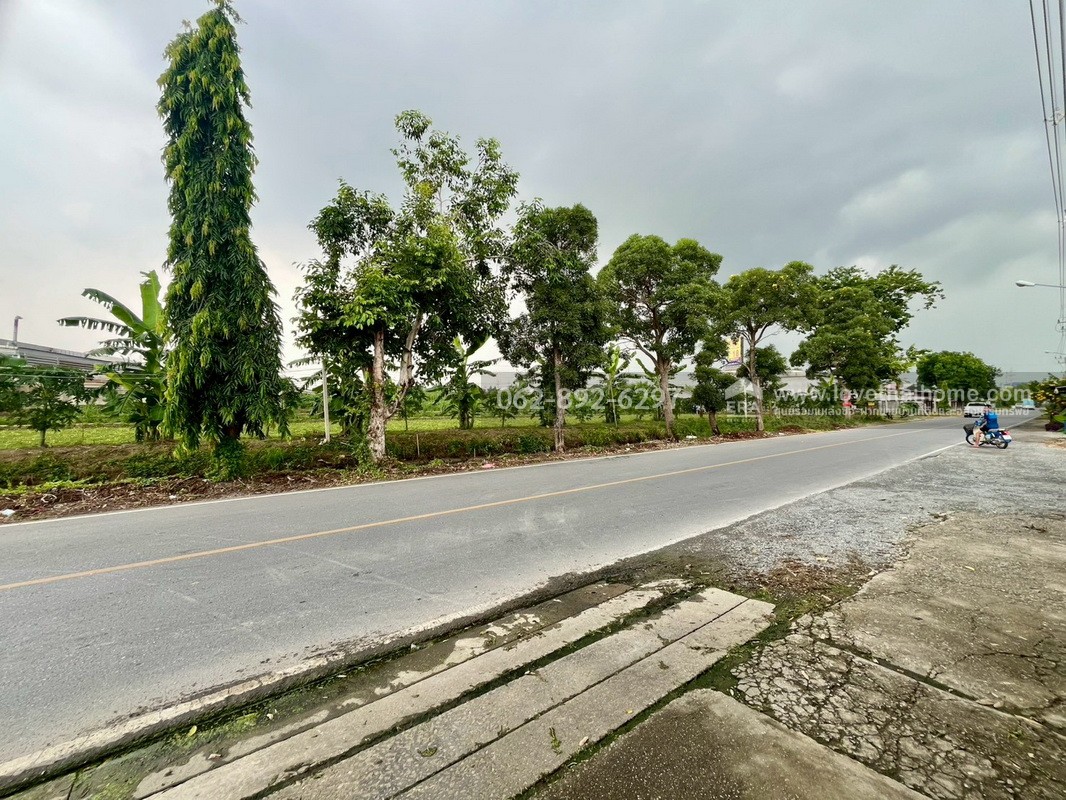 ขายที่ดิน ซอยบางเตย1 พุทธมณฑลสาย5 สามพราน นครปฐม ขนาด 3 ไร่ 3 งาน 78 ตารางวา ติดถนน แปลงสวย ทำเลทอง ขายในราคาสุดคุ้มค่า ทำเลแบบนี้หายากมากในย่านนี้