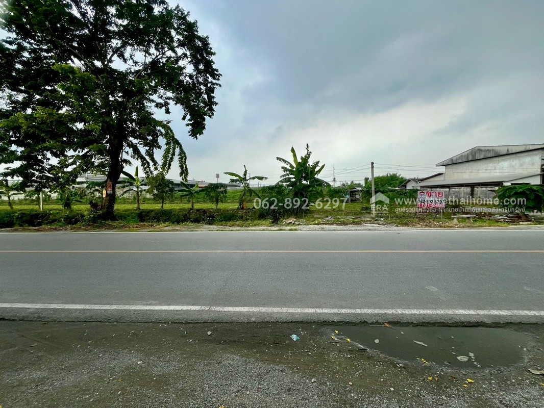 ขายที่ดิน ซอยบางเตย1 พุทธมณฑลสาย5 สามพราน นครปฐม ขนาด 3 ไร่ 3 งาน 78 ตารางวา ติดถนน แปลงสวย ทำเลทอง ขายในราคาสุดคุ้มค่า ทำเลแบบนี้หายากมากในย่านนี้