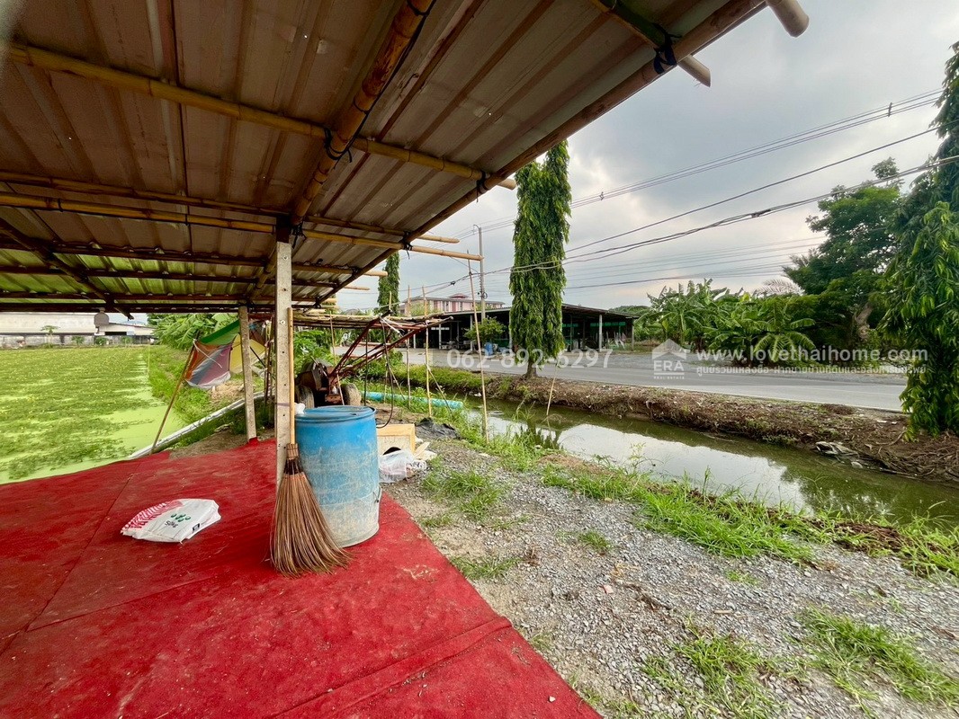 ขายที่ดิน ซอยบางเตย1 พุทธมณฑลสาย5 สามพราน นครปฐม ขนาด 3 ไร่ 3 งาน 78 ตารางวา ติดถนน แปลงสวย ทำเลทอง ขายในราคาสุดคุ้มค่า ทำเลแบบนี้หายากมากในย่านนี้