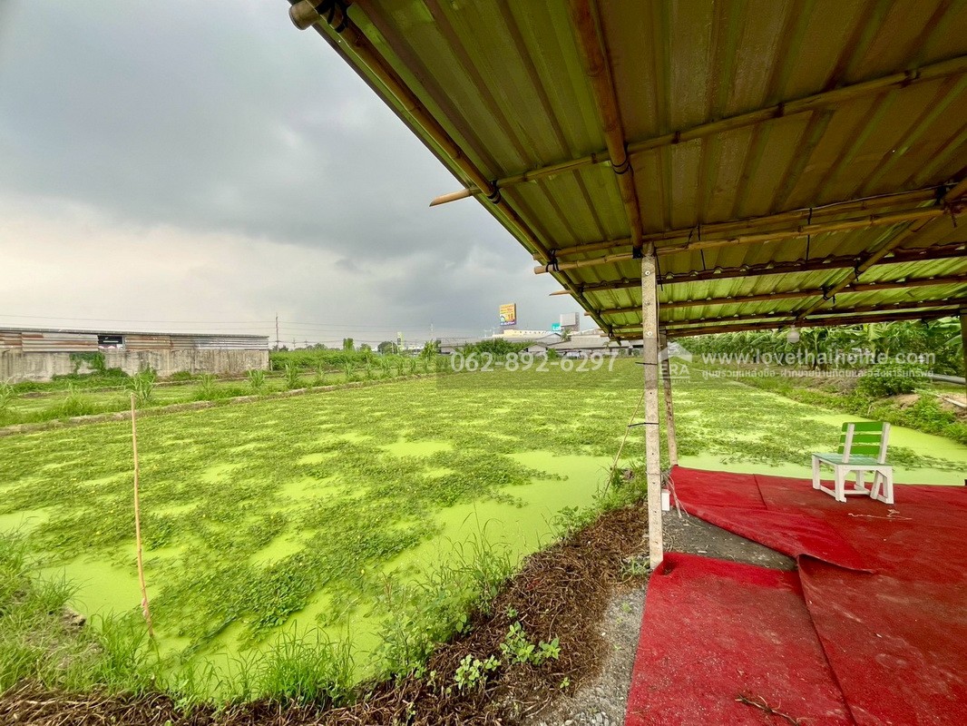 ขายที่ดิน ซอยบางเตย1 พุทธมณฑลสาย5 สามพราน นครปฐม ขนาด 3 ไร่ 3 งาน 78 ตารางวา ติดถนน แปลงสวย ทำเลทอง ขายในราคาสุดคุ้มค่า ทำเลแบบนี้หายากมากในย่านนี้