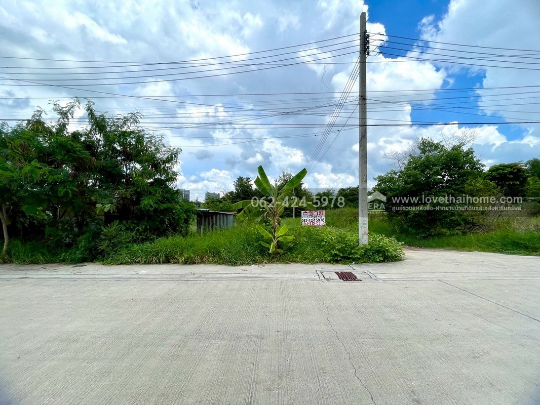 ขายที่ดิน แปลงมุม ถนนประเสริฐมนูกิจ พื้นที่ 198 ตรว. แปลงสี่เหลี่ยมผืนผ้า ติดถนน 3 ด้าน ราคาต่อรองได้