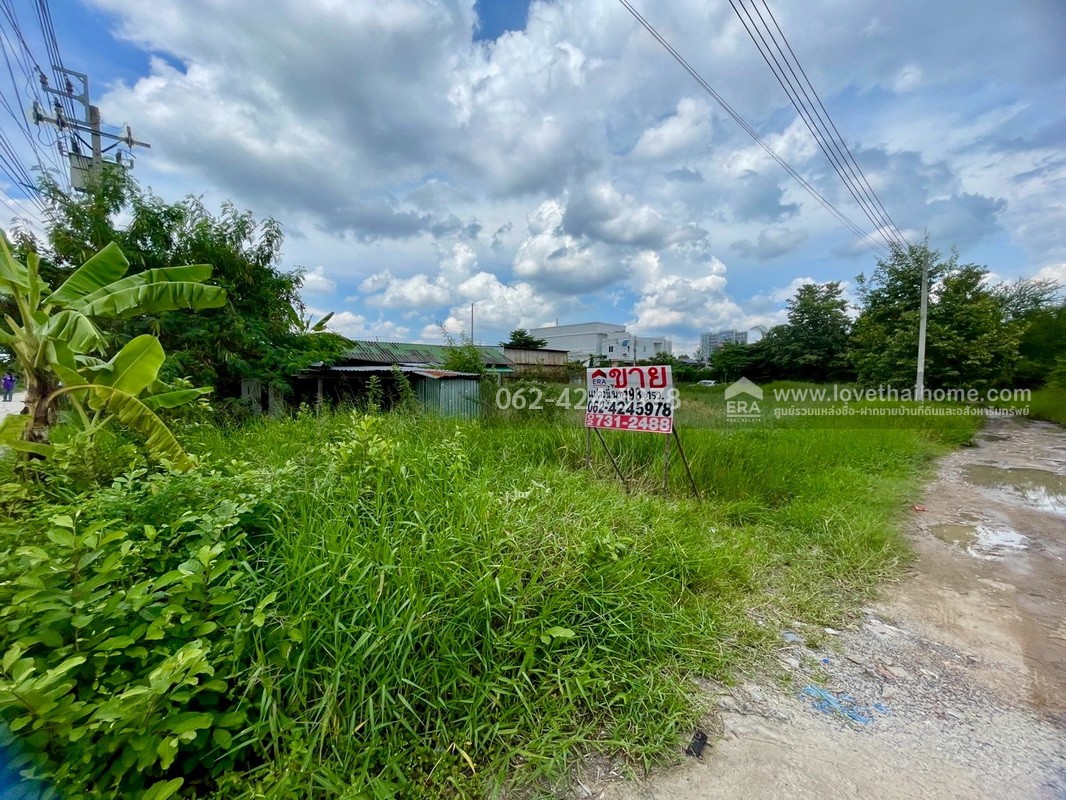ขายที่ดิน แปลงมุม ถนนประเสริฐมนูกิจ พื้นที่ 198 ตรว. แปลงสี่เหลี่ยมผืนผ้า ติดถนน 3 ด้าน ราคาต่อรองได้