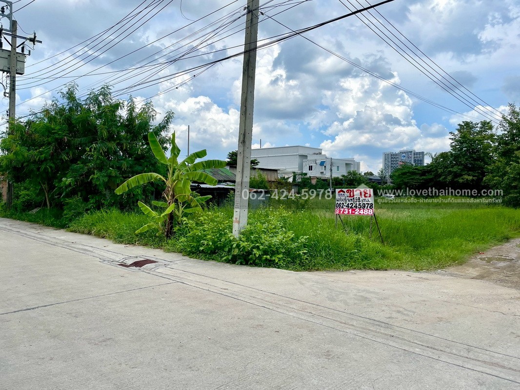 ขายที่ดิน แปลงมุม ถนนประเสริฐมนูกิจ พื้นที่ 198 ตรว. แปลงสี่เหลี่ยมผืนผ้า ติดถนน 3 ด้าน ราคาต่อรองได้