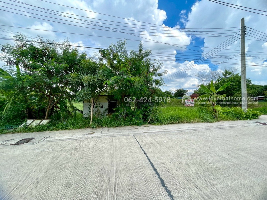 ขายที่ดิน แปลงมุม ถนนประเสริฐมนูกิจ พื้นที่ 198 ตรว. แปลงสี่เหลี่ยมผืนผ้า ติดถนน 3 ด้าน ราคาต่อรองได้