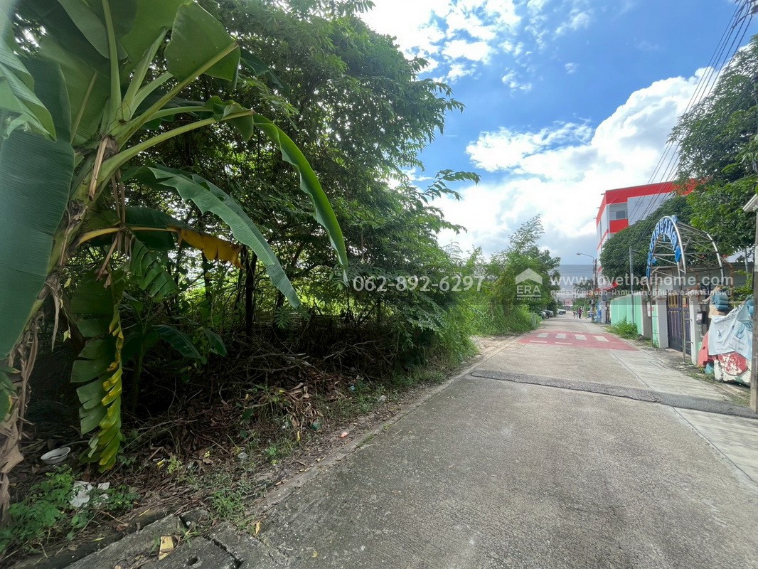 ขายที่ดิน ซอยเพชรเกษม77 ย่านบางแค-เพชรเกษม-หนองแขม แปลงสวย ขนาด 98 ตารางวา ถมแล้ว ทำเลดี ราคาคุ้มค่า หาไม่ได้อีกแล้วในย่านนี้!!