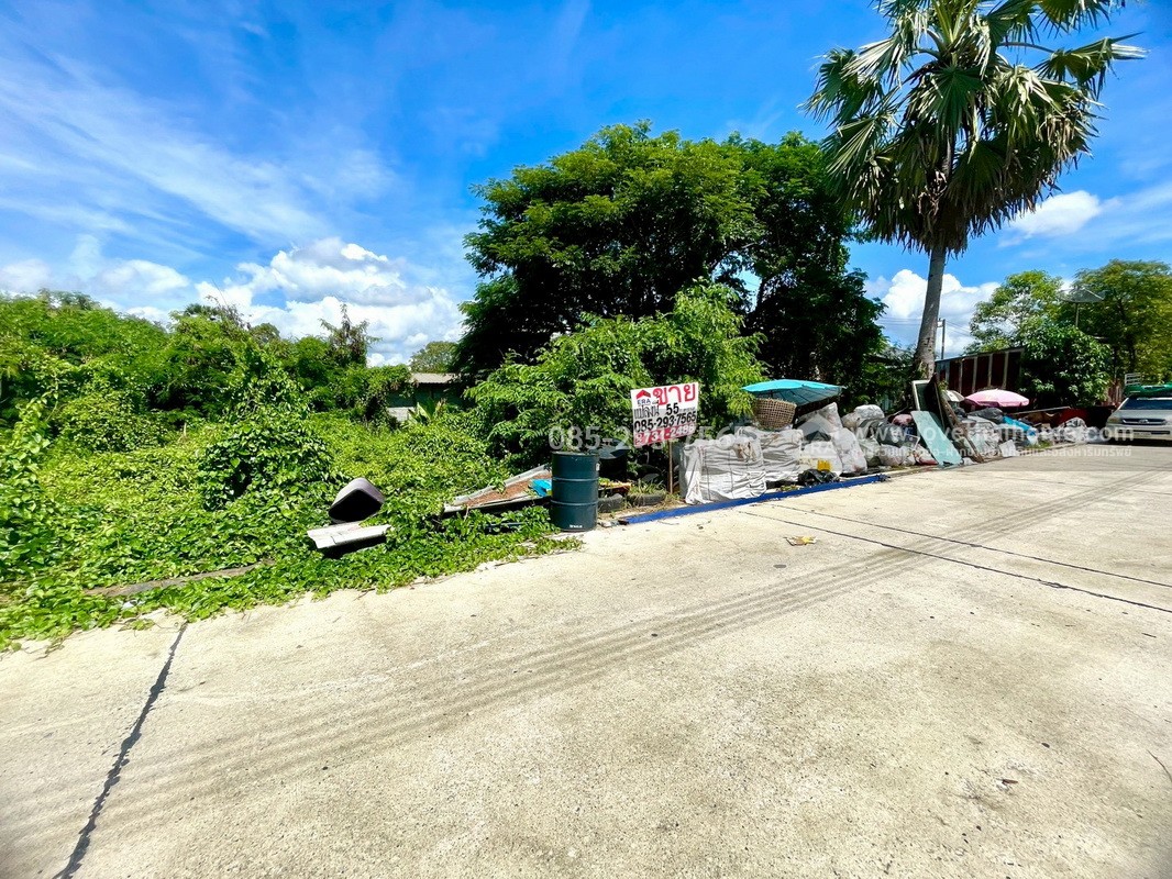 ขายถูกที่ดิน ลำลูกกา คลอง9 ซอยลำลูกกา181 (ซอยร่วมใจ1) พื้นที่ 55 ตารางวา แปลงสี่เหลี่ยมผืนผ้าสวย เหมาะสร้างบ้าน