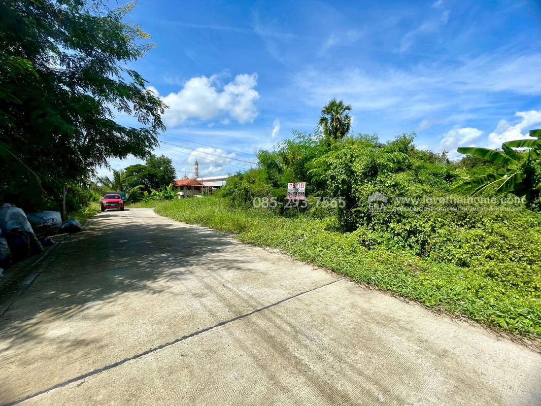 ขายถูกที่ดิน ลำลูกกา คลอง9 ซอยลำลูกกา181 (ซอยร่วมใจ1) พื้นที่ 56 ตารางวา แปลงสี่เหลี่ยมผืนผ้าสวย เหมาะสร้างบ้าน