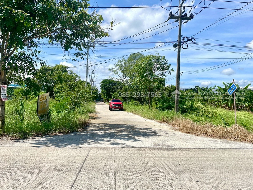 ขายถูกที่ดิน ลำลูกกา คลอง9 ซอยลำลูกกา181 (ซอยร่วมใจ1) พื้นที่ 56 ตารางวา แปลงสี่เหลี่ยมผืนผ้าสวย เหมาะสร้างบ้าน