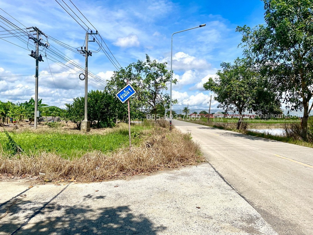 ขายถูกที่ดิน ลำลูกกา คลอง9 ซอยลำลูกกา181 (ซอยร่วมใจ1) พื้นที่ 56 ตารางวา แปลงสี่เหลี่ยมผืนผ้าสวย เหมาะสร้างบ้าน