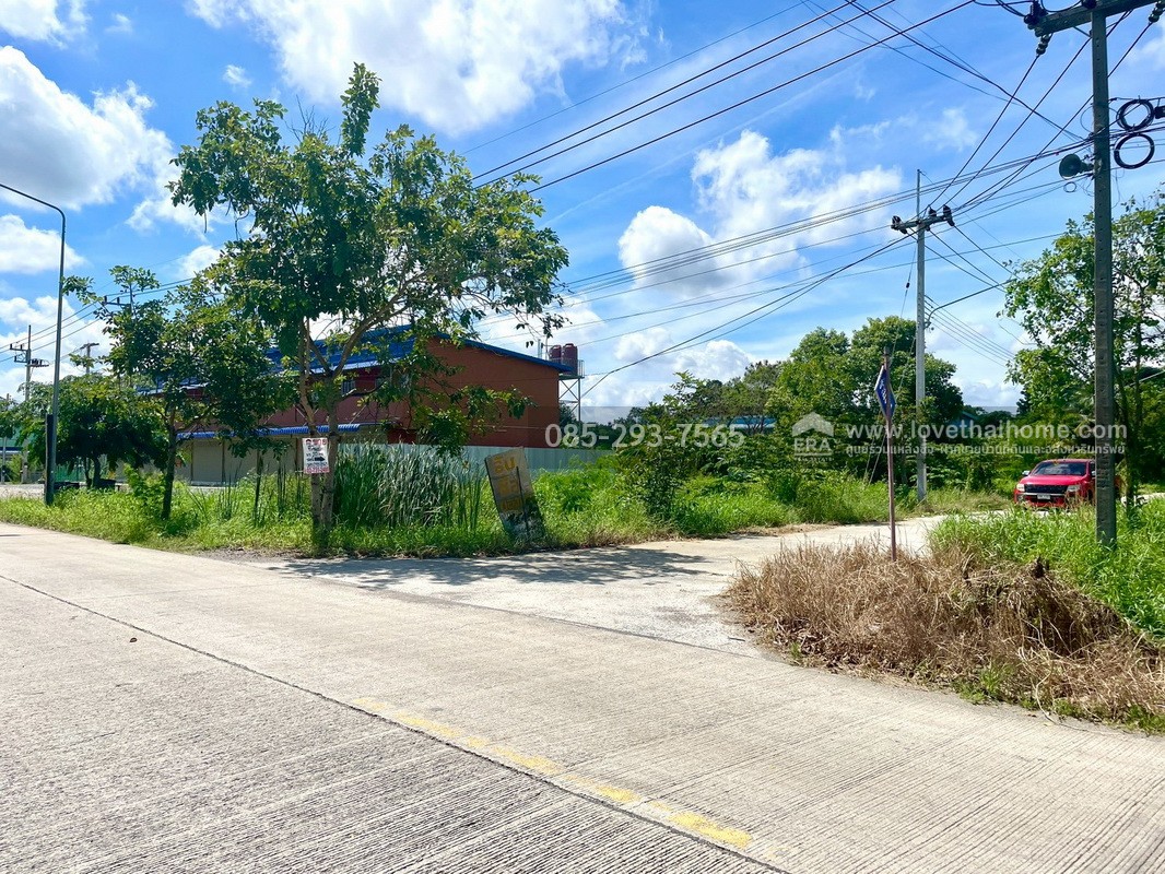 ขายถูกที่ดิน ลำลูกกา คลอง9 ซอยลำลูกกา181 (ซอยร่วมใจ1) พื้นที่ 56 ตารางวา แปลงสี่เหลี่ยมผืนผ้าสวย เหมาะสร้างบ้าน