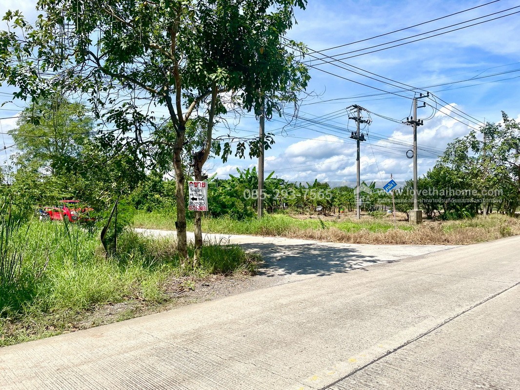 ขายถูกที่ดิน ลำลูกกา คลอง9 ซอยลำลูกกา181 (ซอยร่วมใจ1) พื้นที่ 56 ตารางวา แปลงสี่เหลี่ยมผืนผ้าสวย เหมาะสร้างบ้าน