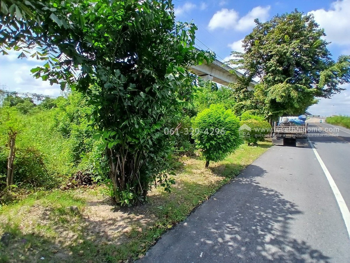 ขายยที่ดินประเวศ-เลียบมอเตอร์เวย์ ติดสนามบินสุวรรณภูมิ พื้นที่ 117 ตร.ว. ใกล้แอร์พอร์ตลิงค์ลาดกระบัง ราคาถูกมากก ขายต่ำกว่าราคาประเมิน และราคาตลาด