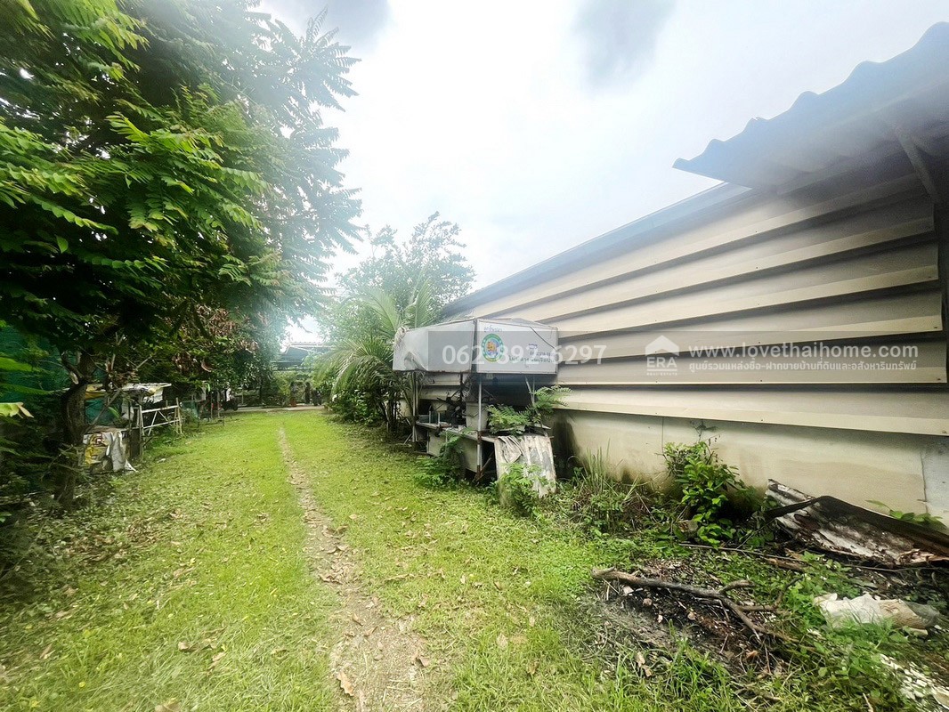 ขายที่ดินพร้อมโกดัง บางหลวง ปทุมธานี ขนาด 200 ตรว. ขายเพียงแค่ 2.99 ล้านบาท ที่สวยถมแล้ว ใกล้ถนนกาญจนาภิเษก ที่สวยราคาถูกไม่มีอีกแล้วด่วน!