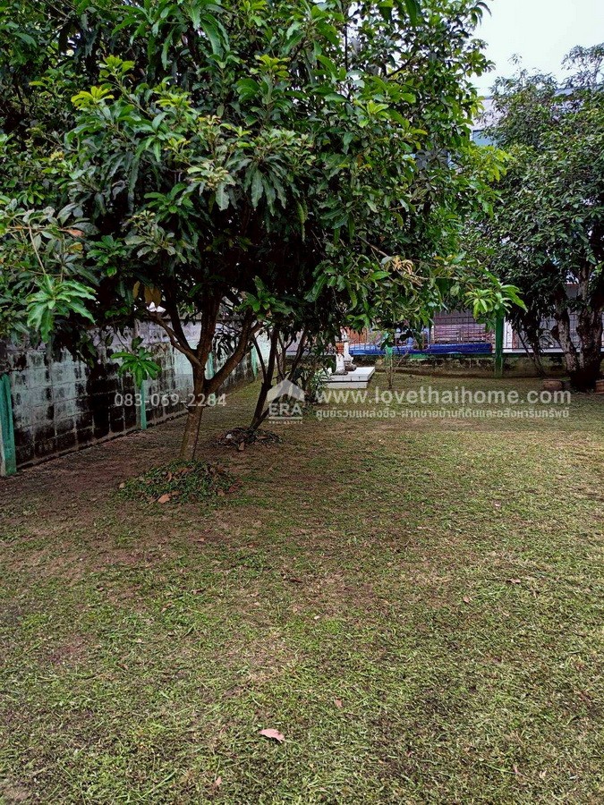 ขายบ้านกฤษดานคร 18 ถ.พุทธมณฑลสาย 3 อยู่ต้นหมู่บ้าน พื้นที่ 126 ตร.วา ใกล้ถนนใหญ่ ทำเลดีมาก