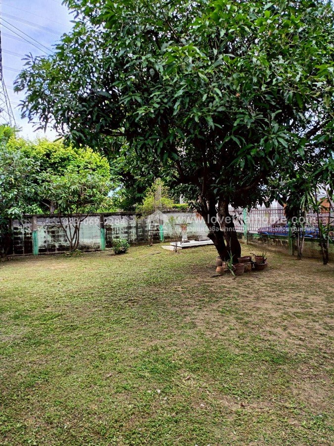 ขายบ้านกฤษดานคร 18 ถ.พุทธมณฑลสาย 3 อยู่ต้นหมู่บ้าน พื้นที่ 126 ตร.วา ใกล้ถนนใหญ่ ทำเลดีมาก