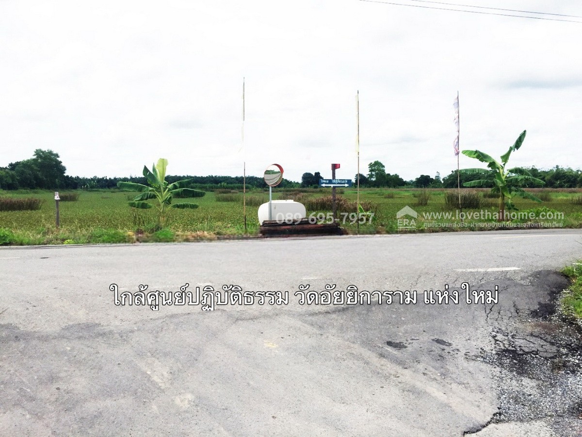 ขายที่ดิน รังสิต-นครนายก คลอง9 (ขาออก) ปทุมธานี 100 ตร.วา ซอย รพ.ส่งเสริมสุขภาพ ต.ลำผักกูด ธัญบุรี ใกล้วัดอัยยิการาม ราคาถูกเท่าประเมิน