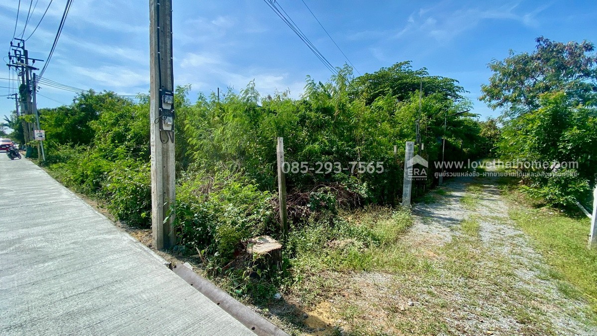 ขายที่ดิน ซอยวัดลาดปลาดุก ติดถนนเลียบคลองตาชม พื้นที่ 347 ตารางวา ทำเลดี ใกล้รถไฟฟ้าคลองบางไผ่