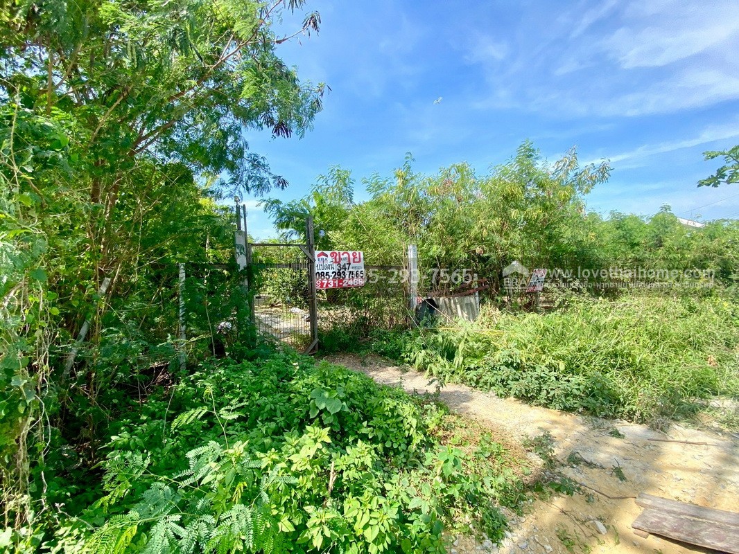 ขายที่ดิน ซอยวัดลาดปลาดุก ติดถนนเลียบคลองตาชม พื้นที่ 347 ตารางวา ทำเลดี ใกล้รถไฟฟ้าคลองบางไผ่