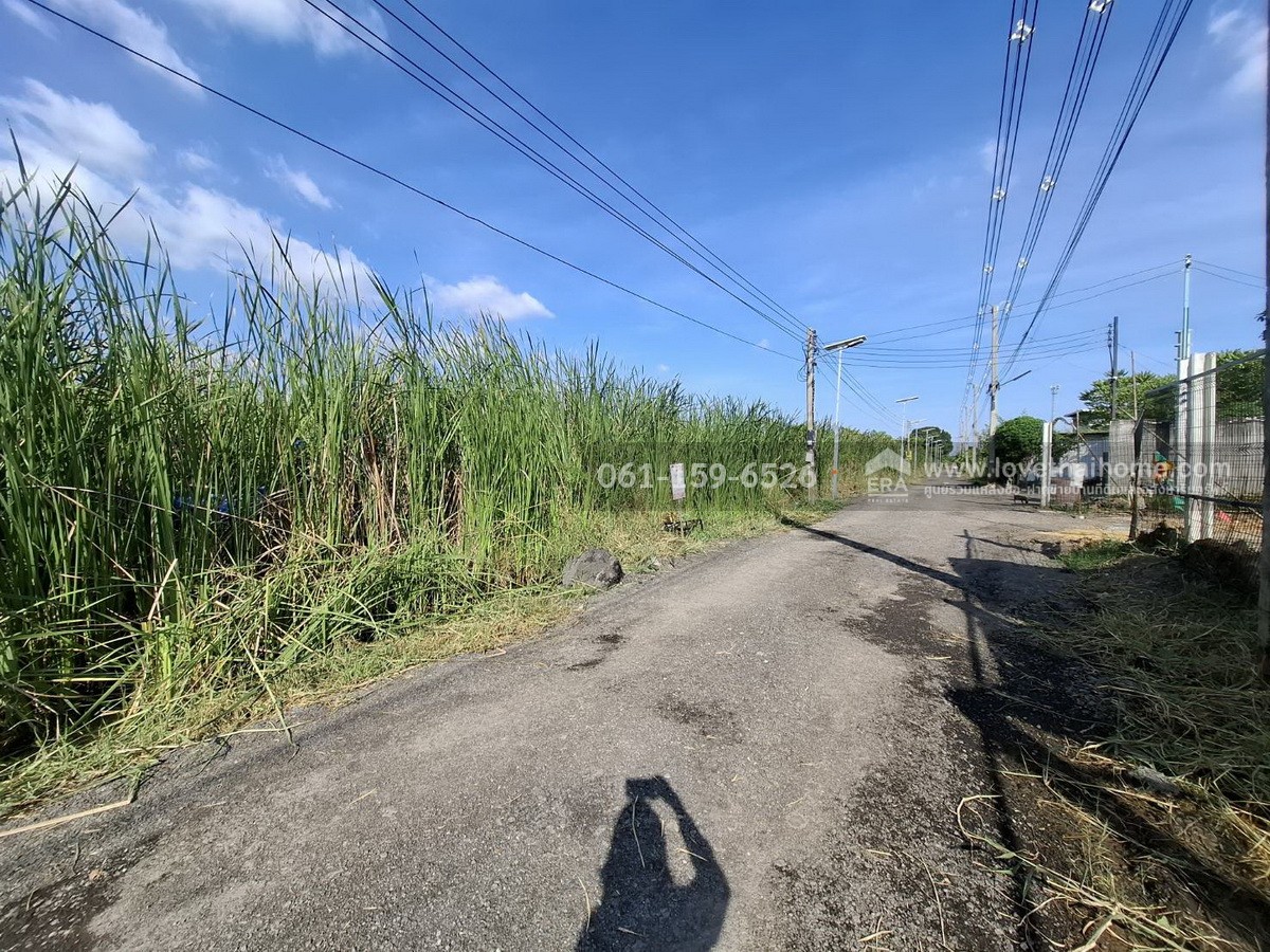 ขายที่ดิน บงกช55 คลองหลวง ปทุมธานี ใกล้ถนนรังสิต-นครนายก 31 เลียบคลองสอง พื้นที่ 285 ตร.วา ขายถูกที่สุดในซอยนี้ แปลงสี่เหลี่ยมผืนผ้าสวย เหมาะปลูกบ้าน-สำนักงาน และโกดัง