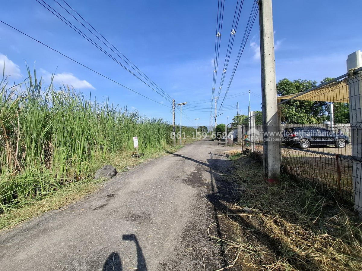 ขายที่ดิน บงกช55 คลองหลวง ปทุมธานี ใกล้ถนนรังสิต-นครนายก 31 เลียบคลองสอง พื้นที่ 285 ตร.วา ขายถูกที่สุดในซอยนี้ แปลงสี่เหลี่ยมผืนผ้าสวย เหมาะปลูกบ้าน-สำนักงาน และโกดัง