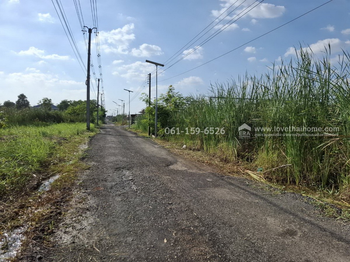 ขายที่ดิน บงกช55 คลองหลวง ปทุมธานี ใกล้ถนนรังสิต-นครนายก 31 เลียบคลองสอง พื้นที่ 285 ตร.วา ขายถูกที่สุดในซอยนี้ แปลงสี่เหลี่ยมผืนผ้าสวย เหมาะปลูกบ้าน-สำนักงาน และโกดัง
