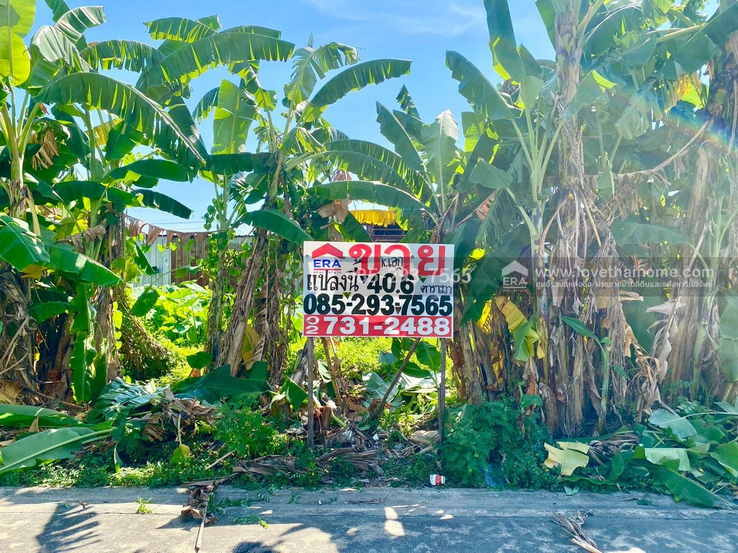 ขายที่ดิน ถนนสุขาภิบาล5 ซอย34 สายไหม แปลงสวย พื้นที่ 40.6 ตารางวา แปลงเล็กๆแต่ทำเลดีมาก เข้าซอยเพียง 300 เมตร ใกล้จุดขึ้น-ลงทางด่วนสุขาภิบาล5