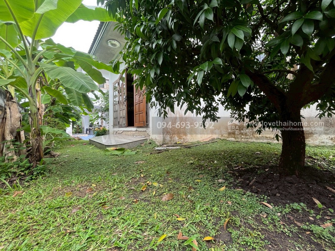 ขายบ้านเดี่ยว 2 หลังคู่ บ้านนันทวี-หนองจอก ซอยเชื่อมสัมพันธ์14 พื้นที่รวม 2 หลัง 138.9 ตรว. หาแบบนี้ไม่มีอีกแล้ว หลังใหญ่กว้าง ราคาถูก!!