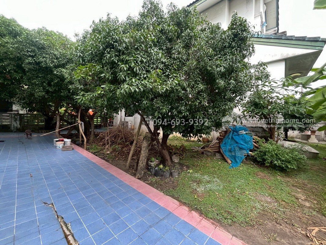 ขายบ้านเดี่ยว 2 หลังคู่ บ้านนันทวี-หนองจอก ซอยเชื่อมสัมพันธ์14 พื้นที่รวม 2 หลัง 138.9 ตรว. หาแบบนี้ไม่มีอีกแล้ว หลังใหญ่กว้าง ราคาถูก!!