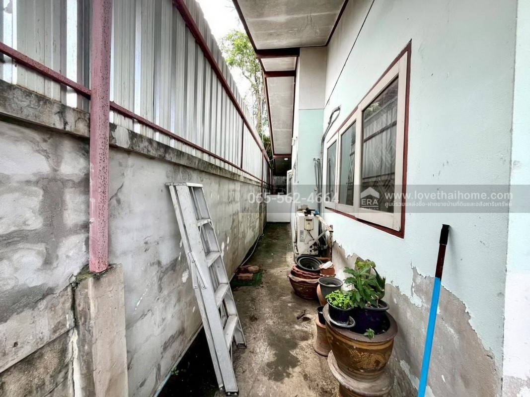 ขายบ้านเดี่ยว ม.พันธุ์ทิพย์3 ซ.งามวงศ์วาน45 แยก2-6 หลักสี่ พื้นที่ 63 ตรว. (ซ.ศูนย์เบนซ์) ทำเลดี ใกล้ม.เกษตรศาสตร์ ราคาต่อรองได้