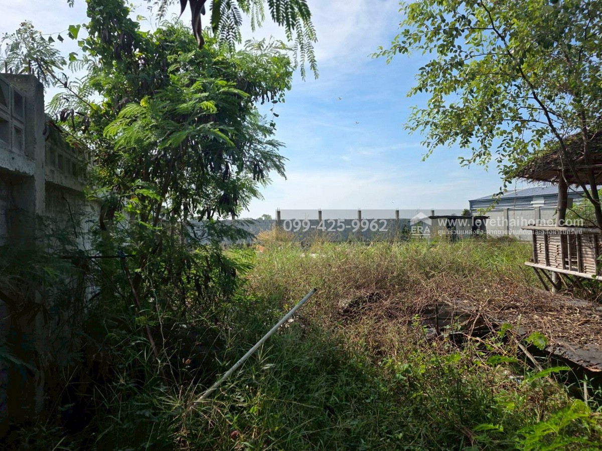 ขายที่ดิน ต.ไทรใหญ่ อ.ไทรน้อย จ.นนทบุรี โครงการเลดี้แลนด์ 25 พื้นที่ 200 ตร.วา ที่ดินถมแล้ว พร้อมสร้างบ้านพั-สร้างโกดัง หรือซื้อเพื่อเก็งกำไร