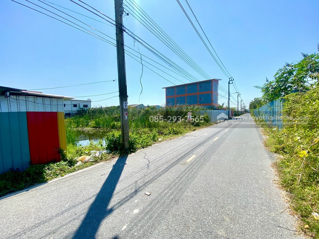 ขายที่ดิน ซอยหล่อพระ ถนนบางกรวย-ไทรน้อย บางบัวทอง พื้นที่ 100 ตารางวา ใกล้สำนักงานเทศบาลเมืองใหม่บางบัวทอง