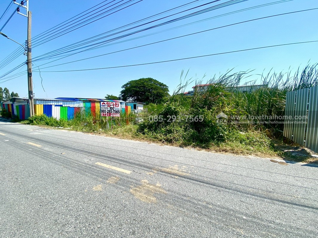 ขายที่ดิน ซอยหล่อพระ ถนนบางกรวย-ไทรน้อย บางบัวทอง พื้นที่ 100 ตารางวา ใกล้สำนักงานเทศบาลเมืองใหม่บางบัวทอง