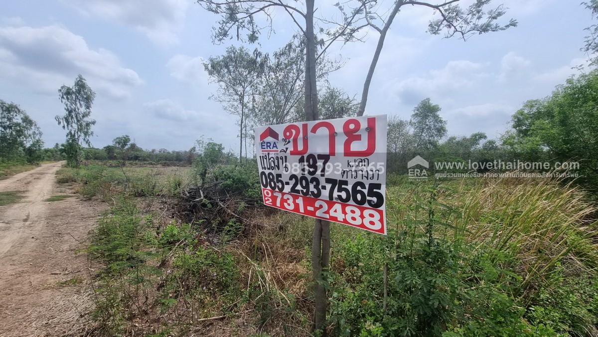 ขายที่ดิน ถนนกรุงนนท์-จงถนอม ซอยศรีกมล ต.คลองโยง อ.พุทธมณฑล นครปฐม พื้นที่ 197 ตารางวา ขาย 1.1 ล้านบาท ใกล้มหาวิทยาลัยราชภัฎสวนสุนันทา