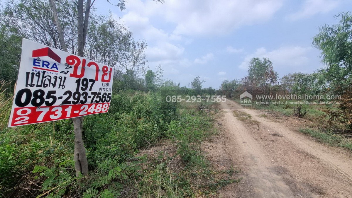 ขายที่ดิน ถนนกรุงนนท์-จงถนอม ซอยศรีกมล ต.คลองโยง อ.พุทธมณฑล นครปฐม พื้นที่ 197 ตารางวา ขาย 1.1 ล้านบาท ใกล้มหาวิทยาลัยราชภัฎสวนสุนันทา