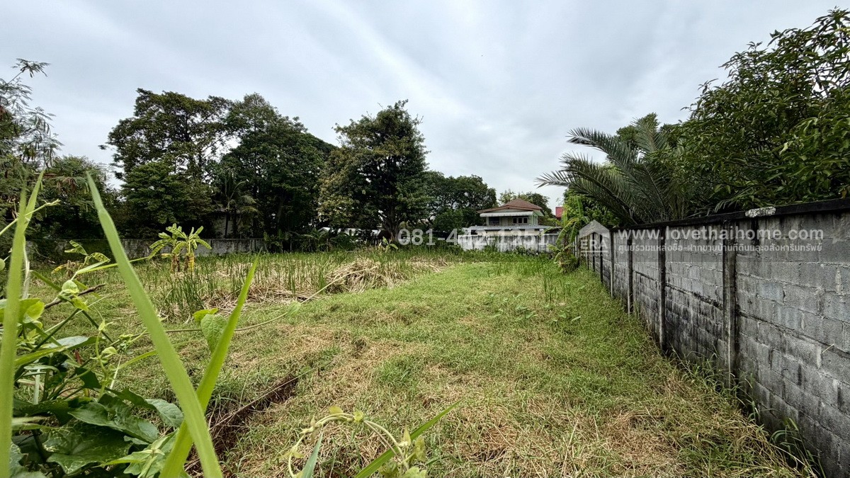 ขายที่ดิน ถนนนนทบุรี46 ซอยไทยานนท์3 พื้นที่ 404 ตรว. ขาย 68,000 บาท/ตรว. ทำเลรถไฟฟ้าสายสีชมพู สถานีสนามบินน้ำ และ รถไฟฟ้าสายสีม่วง สถานีศูนย์ราชการนนทบุรี