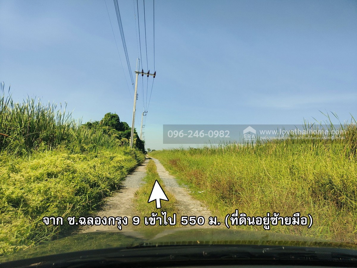 ขายที่ดินเปล่า ฉลองกรุง ซ.9 ลาดกระบัง พื้นที่101ตรว. ขายเท่าราคาประเมิน เพียงแค่1.2ล้านบาทเท่านั้น รีบเลยก่อนพลาดราคาดีๆแบบนี้