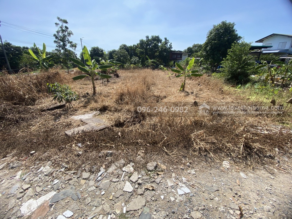 ขายที่ดินถมแล้ว ร่มเกล้า21/3 ลาดกระบัง พื้นที่200ตรว. ราคาไม่แพงขายเพียง3.5ล้านบาท บรรยากาศดีติดคลอง เหมาะสำหรับสร้างที่พักอาศัยหรือทำโกดังเก็บของ