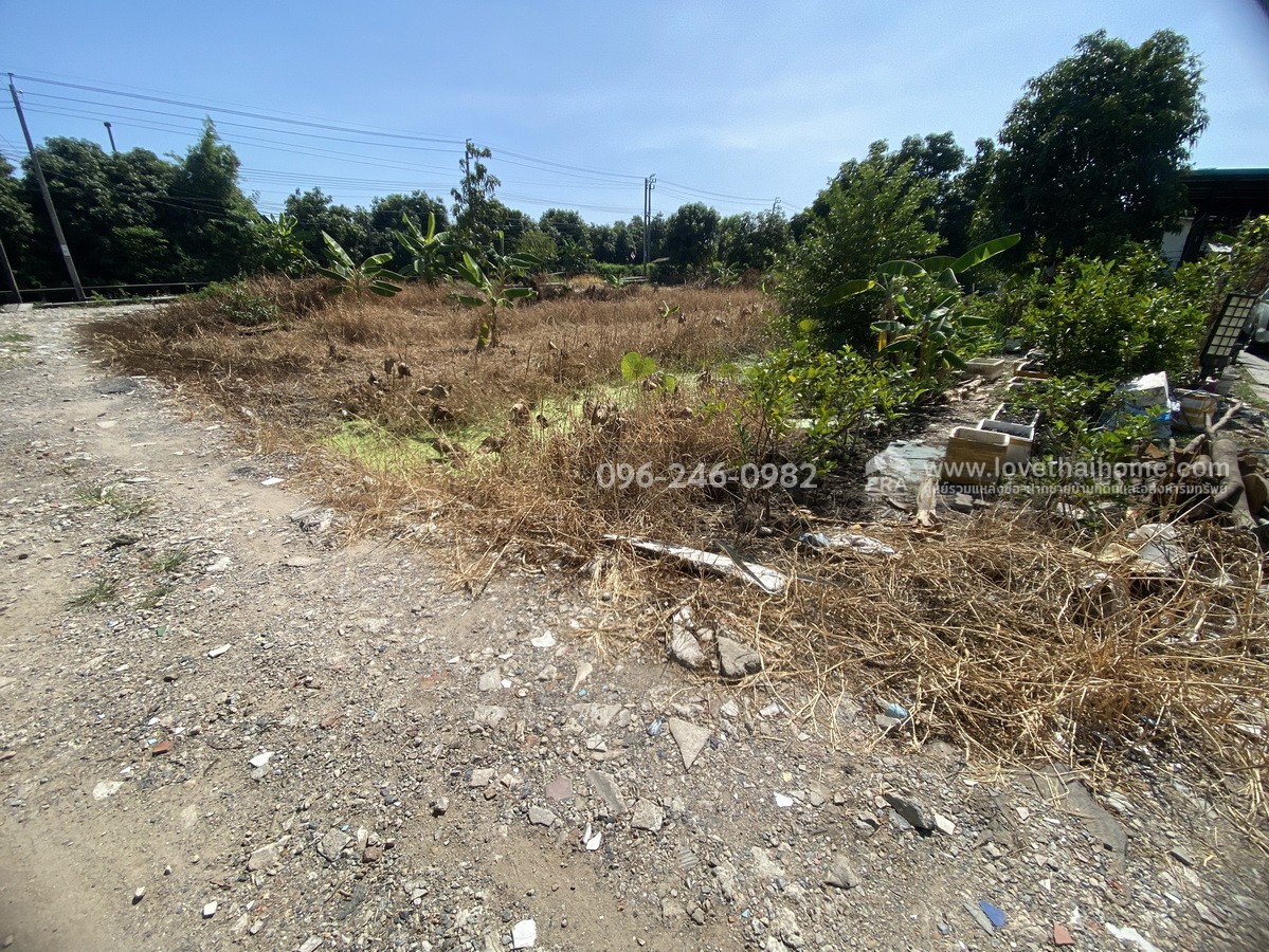 ขายที่ดินถมแล้ว ร่มเกล้า21/3 ลาดกระบัง พื้นที่200ตรว. ราคาไม่แพงขายเพียง3.5ล้านบาท บรรยากาศดีติดคลอง เหมาะสำหรับสร้างที่พักอาศัยหรือทำโกดังเก็บของ