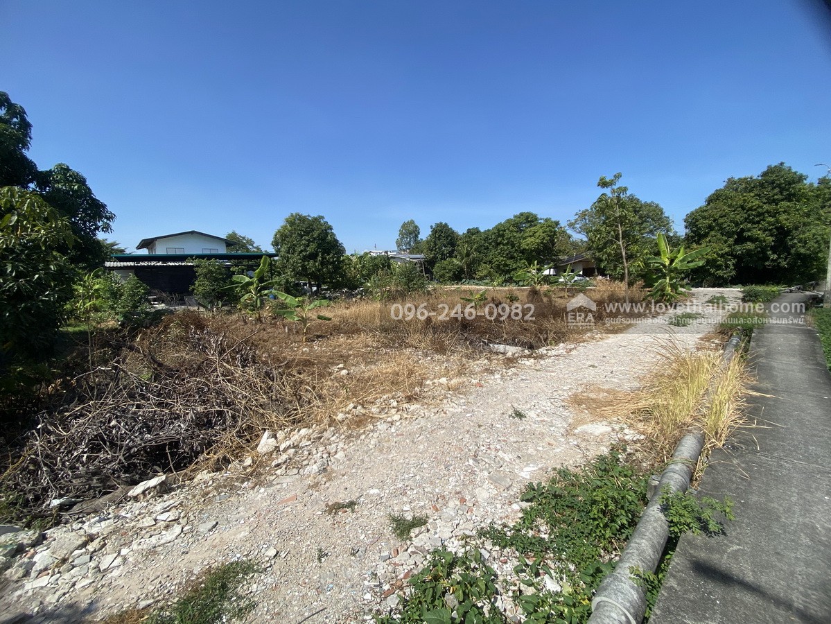 ขายที่ดินถมแล้ว ร่มเกล้า21/3 ลาดกระบัง พื้นที่200ตรว. ราคาไม่แพงขายเพียง3.5ล้านบาท บรรยากาศดีติดคลอง เหมาะสำหรับสร้างที่พักอาศัยหรือทำโกดังเก็บของ
