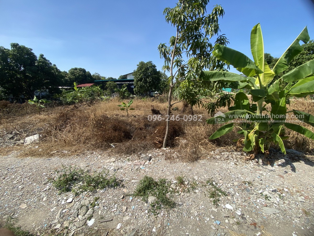 ขายที่ดินถมแล้ว ร่มเกล้า21/3 ลาดกระบัง พื้นที่200ตรว. ราคาไม่แพงขายเพียง3.5ล้านบาท บรรยากาศดีติดคลอง เหมาะสำหรับสร้างที่พักอาศัยหรือทำโกดังเก็บของ