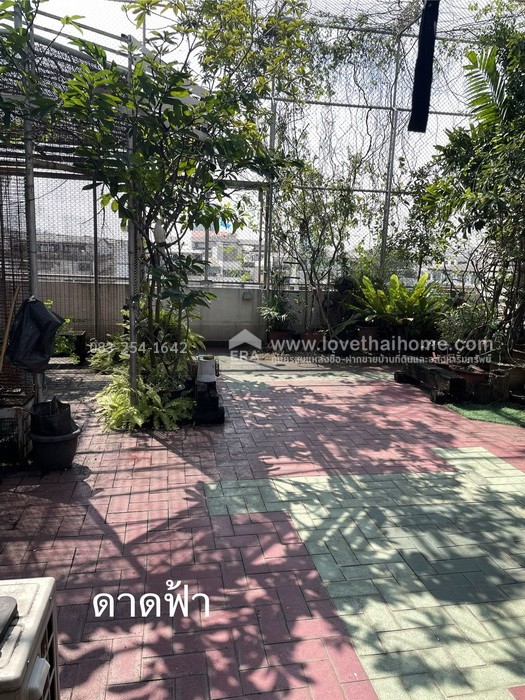 ขายตึกแถว4.5ชั้น เจริญนคร เชื่อมต่อสาทร–ธนบุรี ซ.สมเด็จพระเจ้าตากสิน 27 พื้นที่30.2ตรว. 2คูหา ราคาเพียง 10 ล้านบาท (ถูกมากเมื่อเทียบทำเล) ราคานี้หาได้ยากมากในย่านนี้