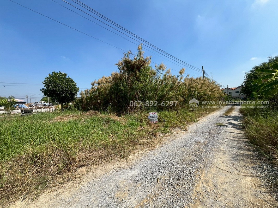 ขายที่ดินสวย บางบัวทอง ซอยวัดลาดปลาดุก โอกาสทองที่ห้ามพลาด ที่ดินถมแล้ว พื้นที่ 100 ตรว. แปลงสวยติดถนน ราคาพิเศษ 15,000 บาท/ตรว.เท่านั้น ด่วนมีจำนวนจำกัดพลาดแล้วพลาดเลย ที่ดินราคาหลักล้านต้นๆ บนทำเลที่คุณจับต้องได้ง่ายๆ