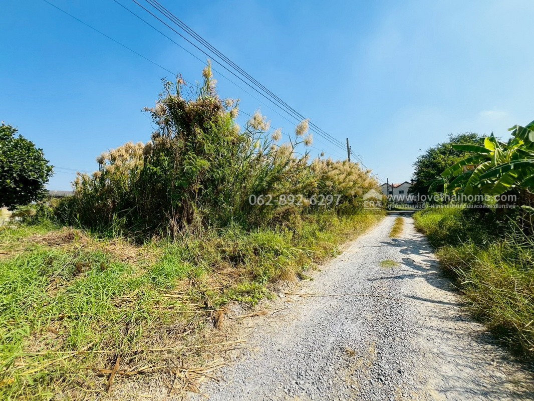 ขายที่ดินสวย บางบัวทอง ซอยวัดลาดปลาดุก โอกาสทองที่ห้ามพลาด ที่ดินถมแล้ว พื้นที่ 100 ตรว. แปลงสวยติดถนน ราคาพิเศษ 15,000 บาท/ตรว.เท่านั้น ด่วนมีจำนวนจำกัดพลาดแล้วพลาดเลย ที่ดินราคาหลักล้านต้นๆ บนทำเลที่คุณจับต้องได้ง่ายๆ