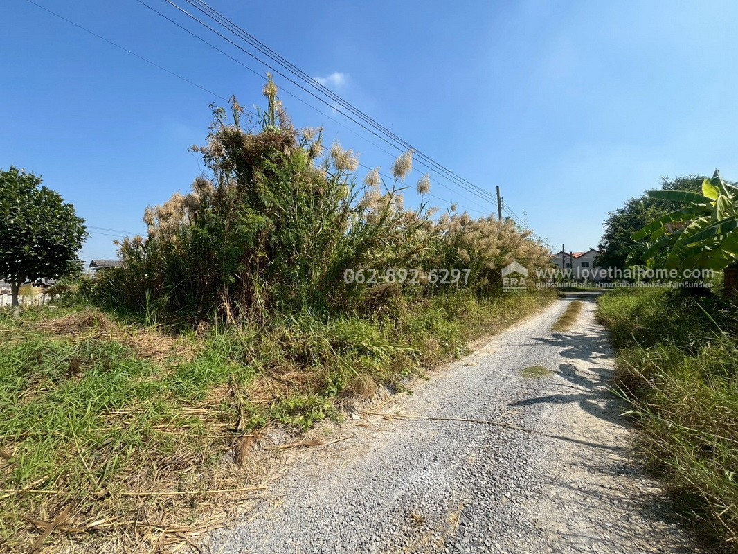 ขายที่ดินสวย บางบัวทอง ซอยวัดลาดปลาดุก โอกาสทองที่ห้ามพลาด ที่ดินถมแล้ว พื้นที่ 100 ตรว. แปลงสวยติดถนน ราคาพิเศษ 15,000 บาท/ตรว.เท่านั้น ด่วนมีจำนวนจำกัดพลาดแล้วพลาดเลย ที่ดินราคาหลักล้านต้นๆ บนทำเลที่คุณจับต้องได้ง่ายๆ