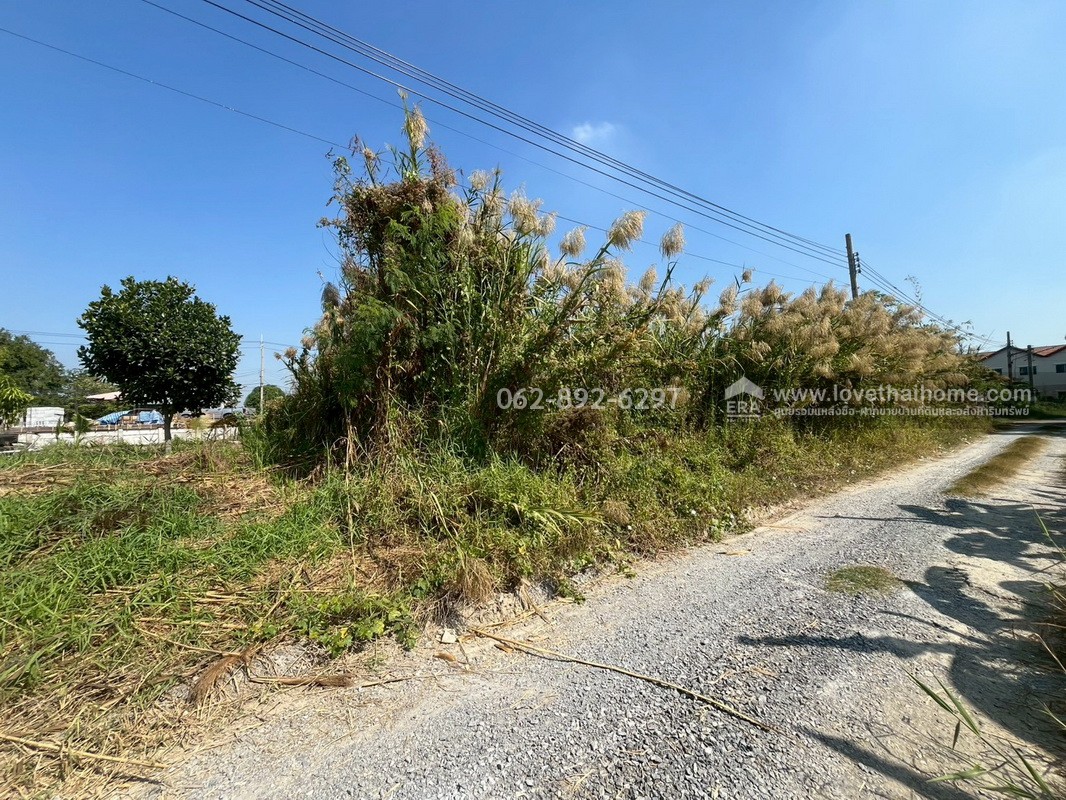 ขายที่ดินสวย บางบัวทอง ซอยวัดลาดปลาดุก โอกาสทองที่ห้ามพลาด ที่ดินถมแล้ว พื้นที่ 100 ตรว. แปลงสวยติดถนน ราคาพิเศษ 15,000 บาท/ตรว.เท่านั้น ด่วนมีจำนวนจำกัดพลาดแล้วพลาดเลย ที่ดินราคาหลักล้านต้นๆ บนทำเลที่คุณจับต้องได้ง่ายๆ